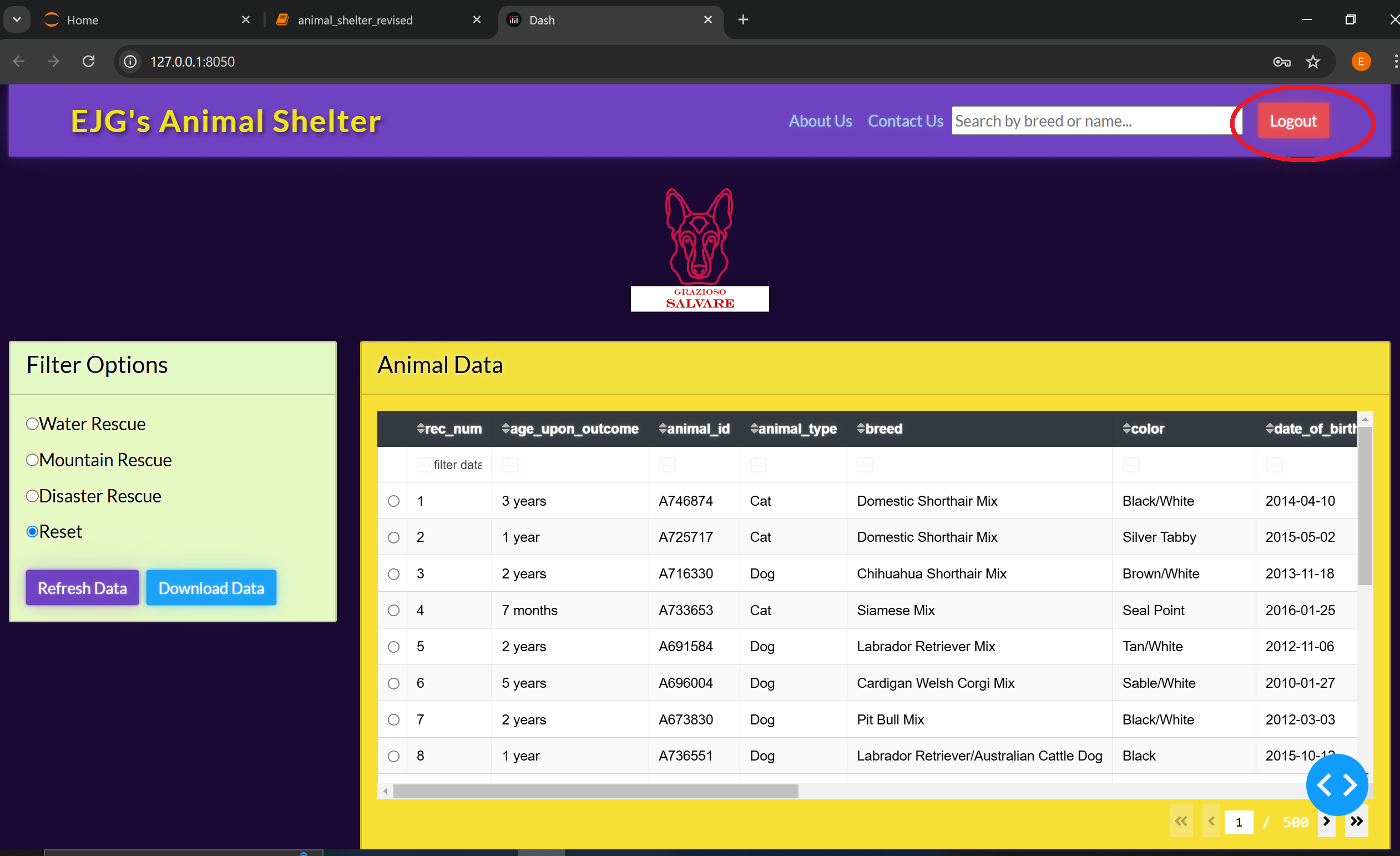Logout button added to application layout